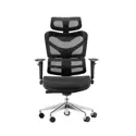 Dorsum - Executive Ergonomic Mesh Chair